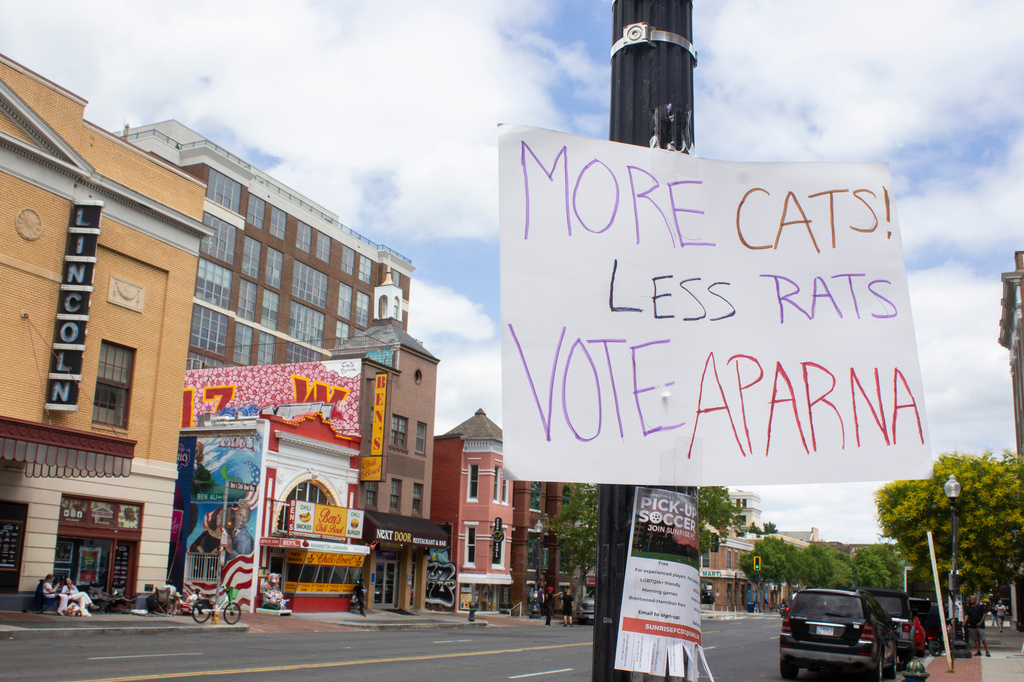 A hand-made campaign sign is posted outside the Lincoln Theatre and Ben’s Chili Bowl in the U Street Corridor of Washington, Sunday, June 7, 2026. (AP Photo/Tallulah Brown Van Zee)