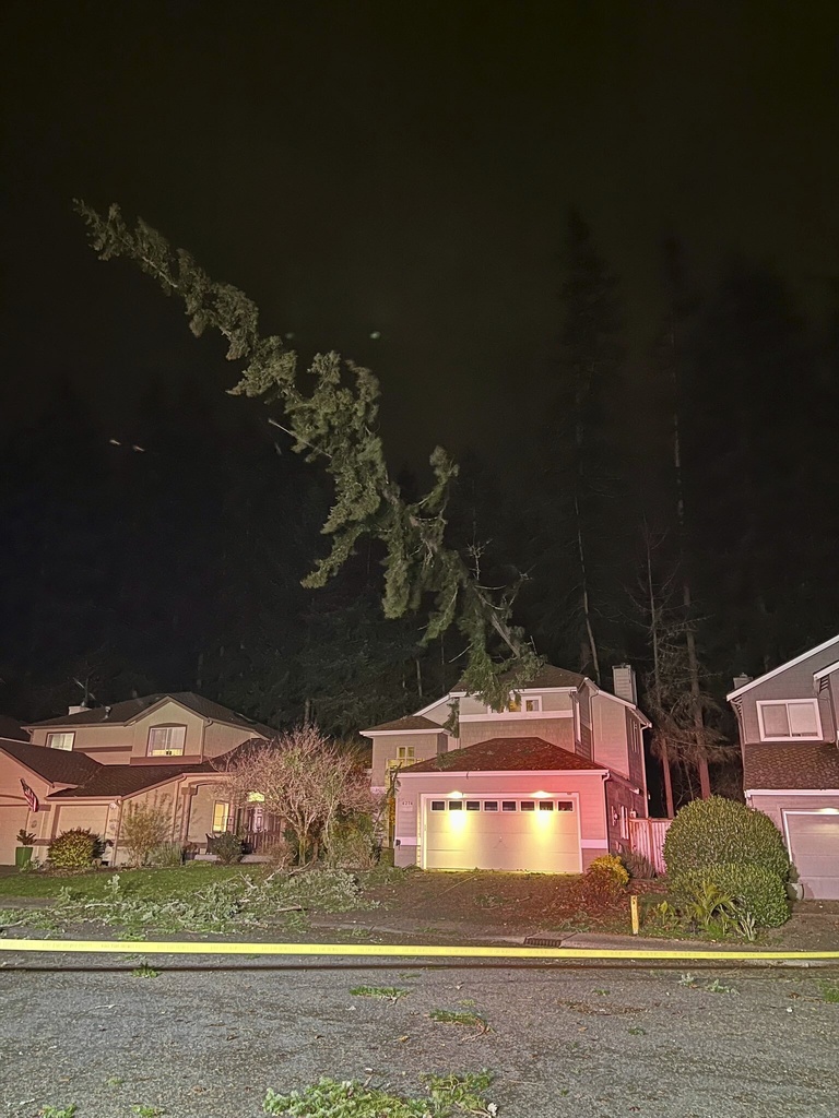 'Bomb cyclone' knocks out power to over 600,000 and downs trees across ...