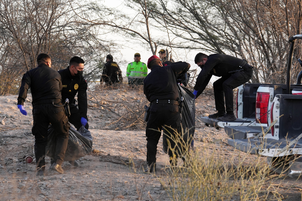 Police load the bodies of victims killed in a plane crash during a sightseeing flight carrying tourists over the Nazca Lines into a vehicle in Peru, Saturday, Aug. 1, 2026. (AP Photo/Genry Bautista)