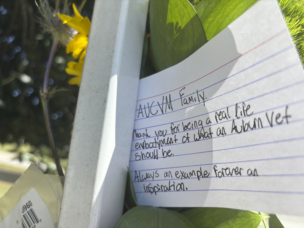 Flowers and memorial notes hang from the gate to Kiesel Park in Auburn, Ala., Tuesday Sept. 9, 2025 as a memorial to Julie Gard Schnuelle. (AP Photo/Kimberly Chandler)