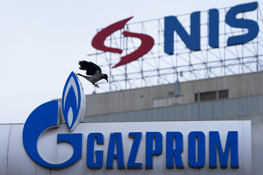 A raven flies between the NIS "Naftna industrija Srbije" (Petroleum Industry of Serbia) on an office building and the Gazprom company logo at a petrol station in Belgrade, Serbia, Sunday, Nov. 23, 2025. (AP Photo/Darko Vojinovic)