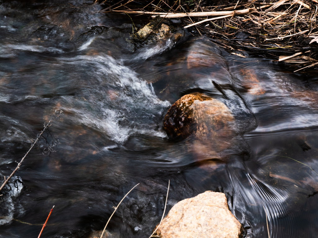 Water flows down a stream at Tidmarsh Wildlife Sanctuary, a restored wetland in Plymouth, Mass., Saturday, March 14, 2026. (Julia Vaz/MIT Graduate Program in Science Writing via AP)