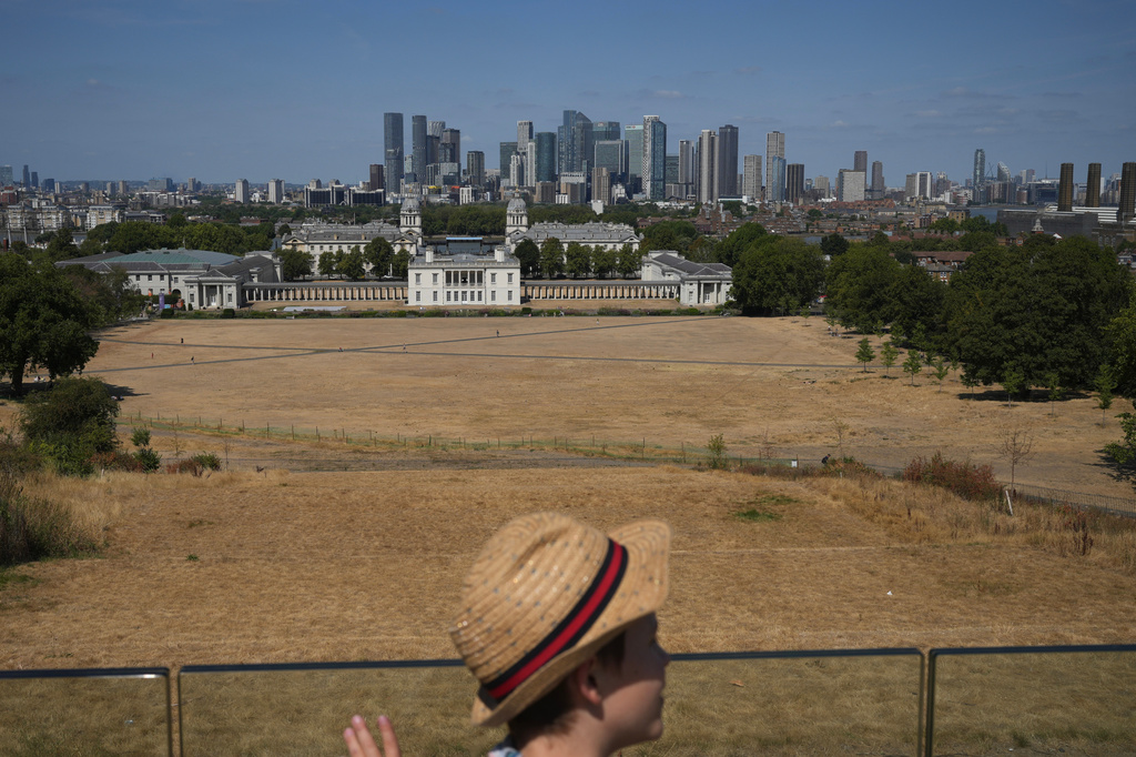 A general view of Greenwich Park amid dried grass in London, Tuesday, Aug. 11, 2026. (AP Photo/Kin Cheung)