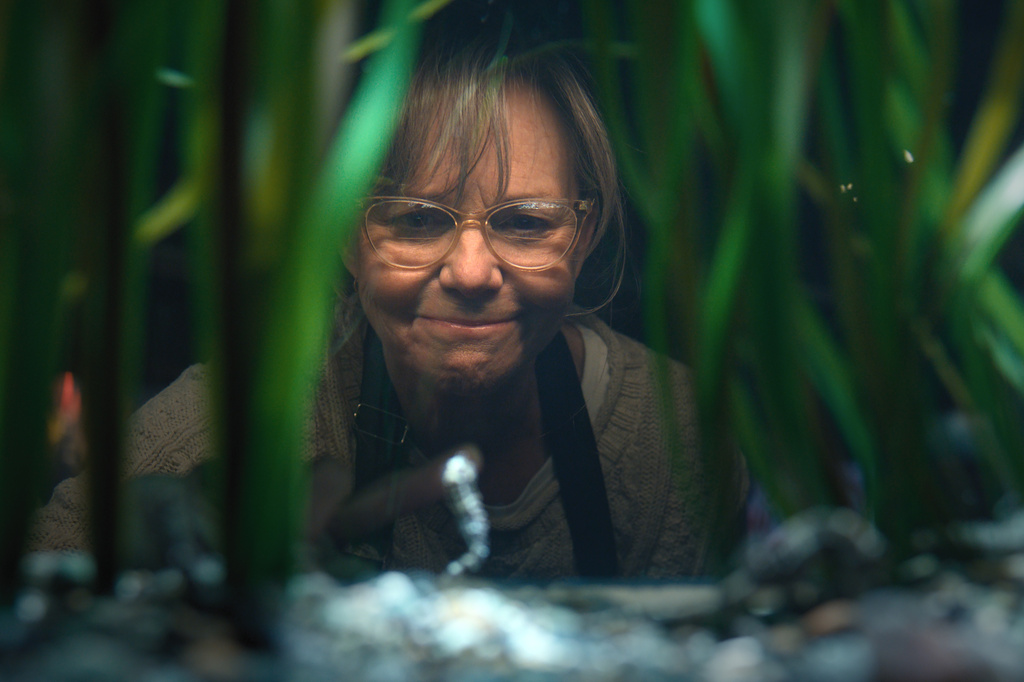 This image released by Netflix shows Sally Field in a scene from "Remarkably Bright Creatures." (Netflix via AP)
