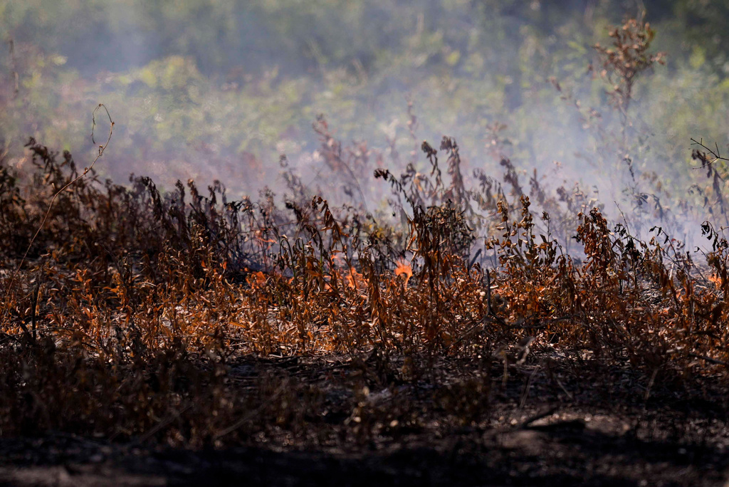 A fire burns as the Brantley Highway 82 fire burns, Thursday, April 23, 2026, near Nahunta, Ga. (AP Photo/Mike Stewart)