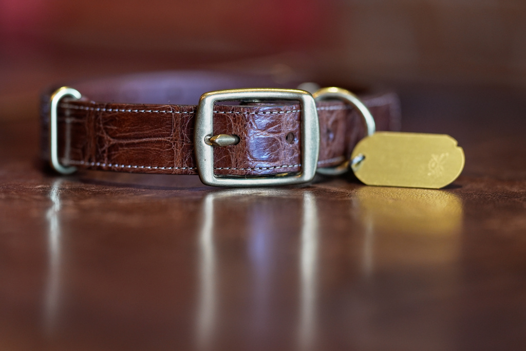 A No. 1 Dog Collar made from American alligator is displayed at the Col. Littleton leather goods store Friday, March 6, 2026, in Lynnville, Tenn. (AP Photo/George Walker IV)