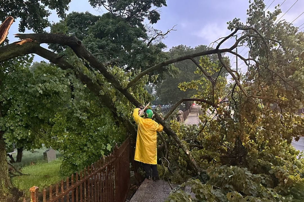 In this photo provided by the City of Jersey City, a city official inspects a damaged tree in Jersey City, N.J., Thursday, Aug. 20, 2026, after storms went through the area. (City of Jersey City via AP)