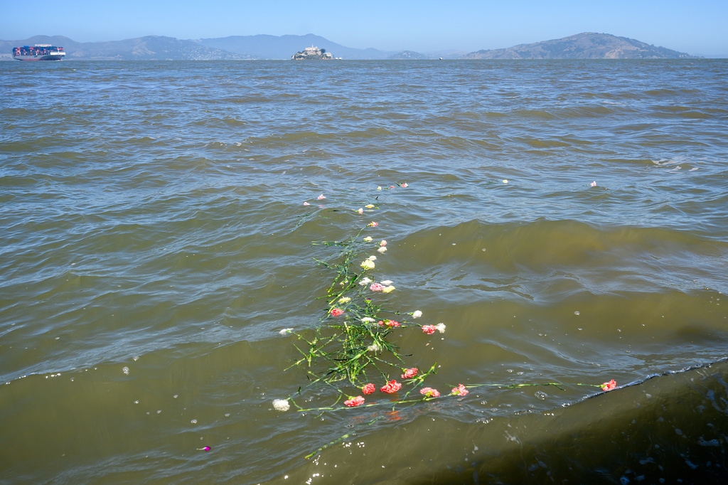 With Alcatraz Island in the background, flowers float on the San Francisco Bay as search and rescue operations continue for missing victims of a Tuesday boat sinking on Wednesday, July 15, 2026, in San Francisco. (AP Photo/Noah Berger)
