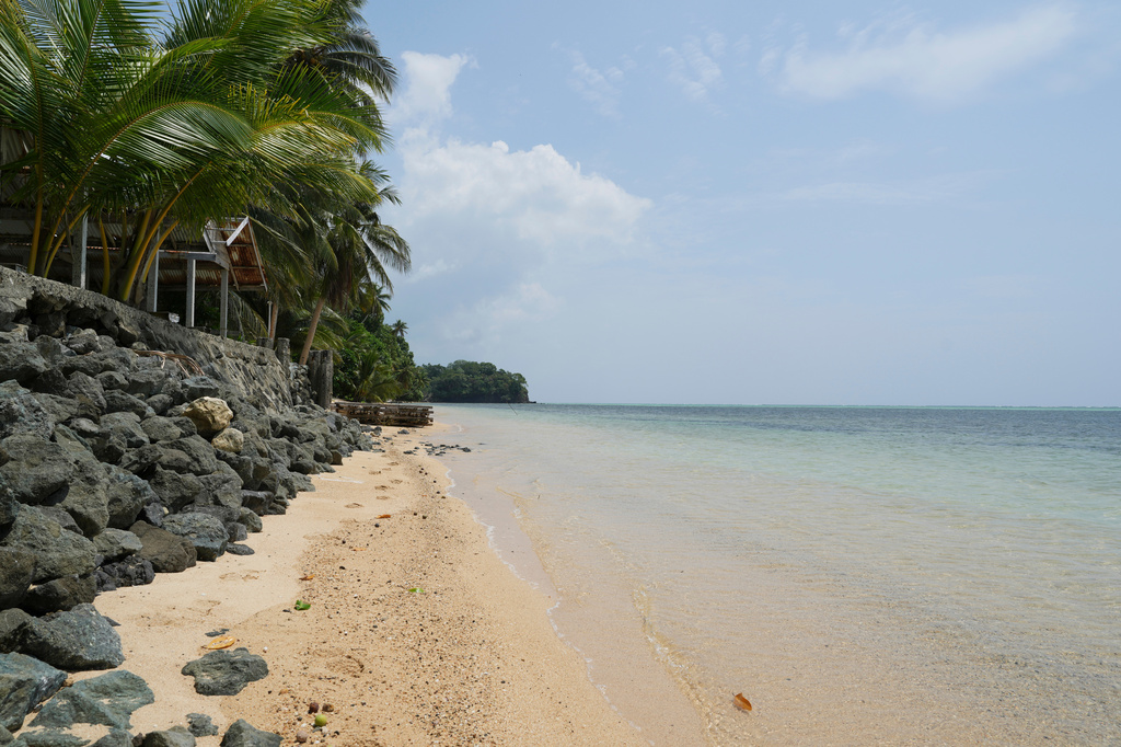 A sliver of beach remains after sea level rises on the coastline in Melekeok state, Palau, Thursday, Sept. 3, 2026. (AP Photo/Charlotte Graham-McLay)