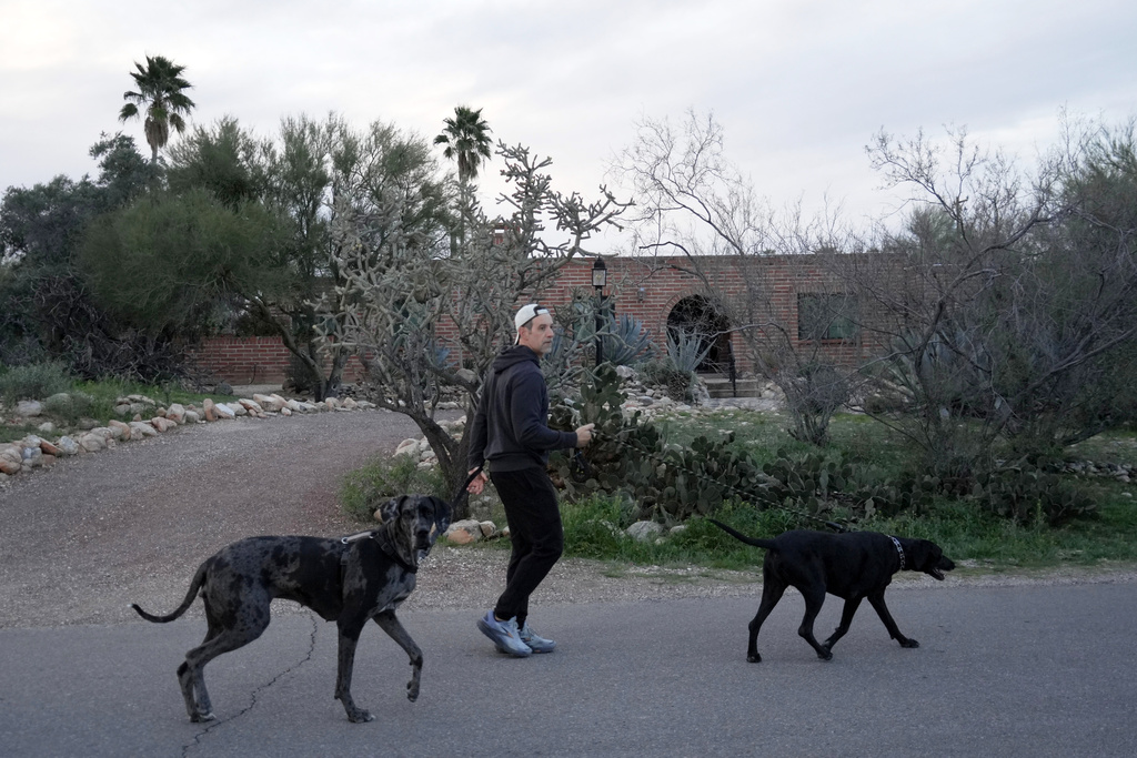 A man walks his dogs passed Nancy Guthrie’s home in the early morning of Saturday, in Tucson, Ariz. Feb. 7, 2026. (AP Photo/Ty ONeil)
