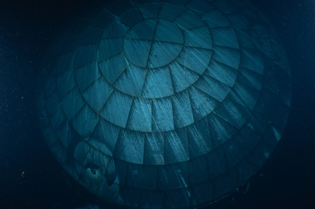 This photo provided by the U.S. Navy shows the Orion spacecraft's heat shield underwater after Artemis II splashed down Friday, April 10, 2026. (U.S. Navy via AP