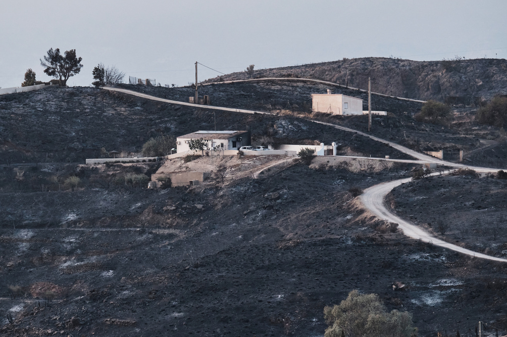 A view of a burnt area affected by wildfires in Bedar, near Almeria, Spain, Saturday, July 11, 2026. (AP Photo/Gregorio Marrero)