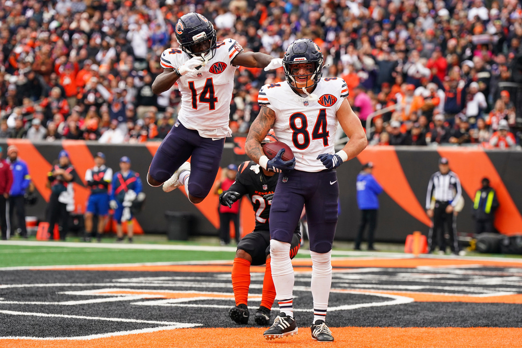 Chicago Bears tight end Colston Loveland (84) celebrates after his touchdown with wide receiver Olamide Zaccheaus (14) during the second half of an NFL football game against the Cincinnati Bengals, Sunday, Nov. 2, 2025, in Cincinnati. (AP Photo/Jeff Dean)