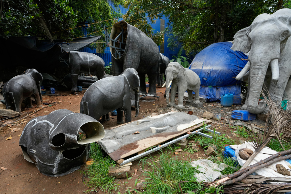 Unfinished robotic elephants lie in a backyard workshop in Chalakudy, in the southern Indian state of Kerala, Friday, May 22, 2026. (AP Photo/Aijaz Rahi)
