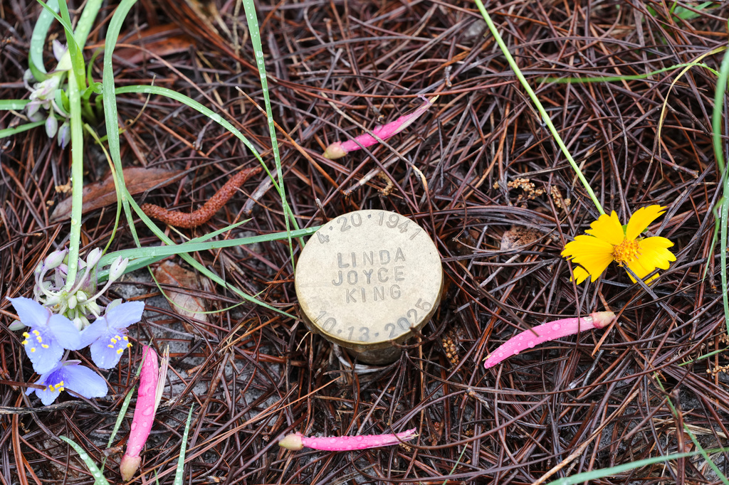 Fresh flowers adorn the grave of Linda Joyce King at the Prairie Creek Conservation Cemetery, Tuesday, April 7, 2026, in Gainesville, Fla. (AP Photo/Marta Lavandier)