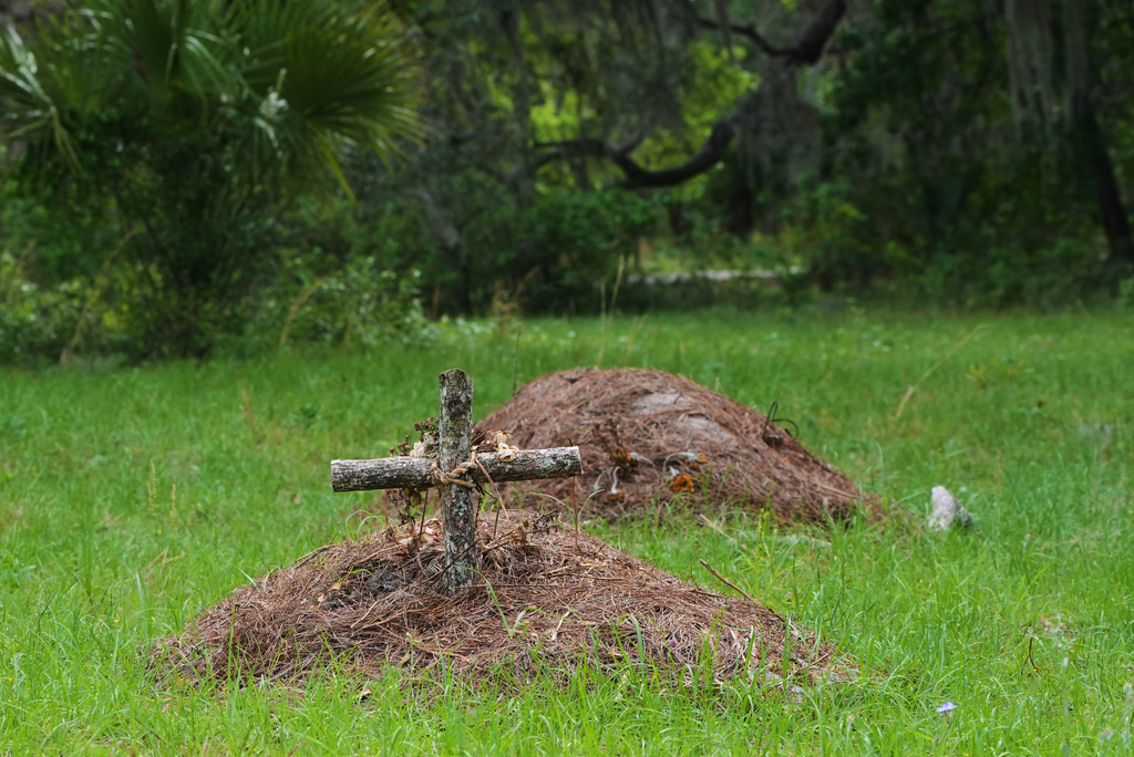 A grave is marked with a cross at the Prairie Creek Conservation Cemetery, Monday, April 6, 2026, in Gainesville, Fla. (AP Photo/Marta Lavandier)