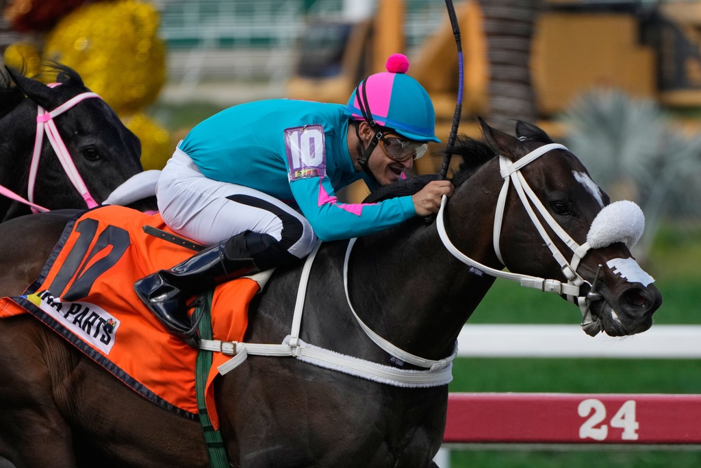 A jockey rides Latina Parts during the 56th Jockey Challenge at the Rinconada racetrack in Caracas, Venezuela, Sunday, Dec. 14, 2025. (AP Photo/Arian Cubillos)