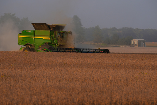Soybeans are harvested on the Warpup Farm in Warren, Ind., Wednesday, Sept. 17, 2025. (AP Photo/Michael Conroy) Soybeans are harvested on the Warpup Farm in Warren, Ind., Wednesday, Sept. 17, 2025. (AP Photo/Michael Conroy)
