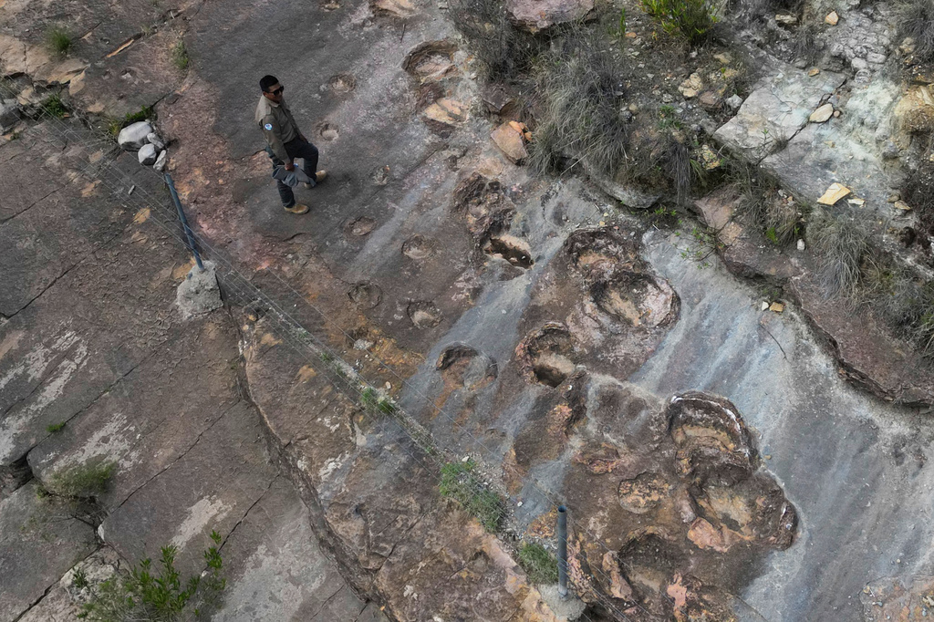 Park ranger José Vallejos stands next to petrified dinosaurs footprints in Carreras Pampa in Toro Toro National Park, north of Potosi, Bolivia, Saturday, Dec. 6, 2025. (AP Photo/Juan Karita)