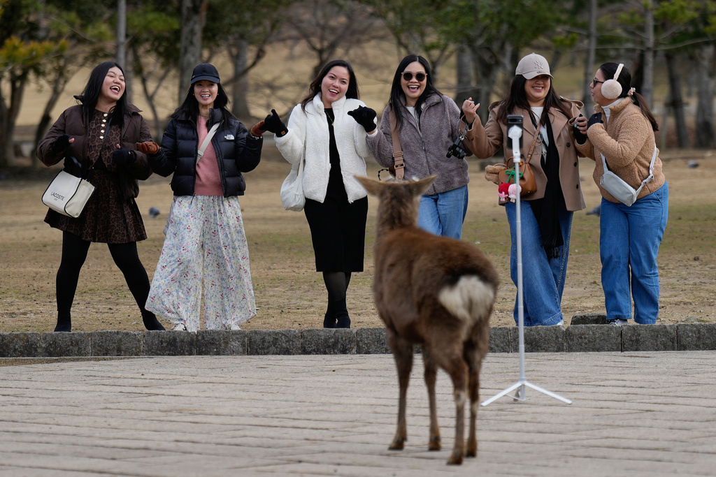 Tourists pose for their selfie as a deer waits for food at a park, in Nara, western Japan, Wednesday, Jan. 14, 2026, where more than 1,000 free-roaming deer considered sacred in Shinto belief have become one of the city's most popular tourist attractions. (AP Photo/Eugene Hoshiko)