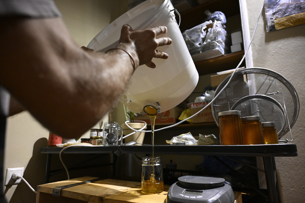Nikos Chadjilias fills a jar with honey in the Zografou suburb of Athens, Greece, July 1, 2025. (AP Photo/Michael Varaklas)