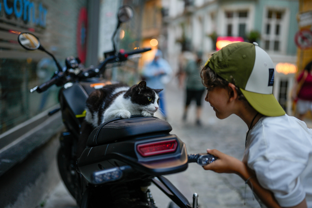 A youngster plays with a cat near Galata tower in Istanbul, Turkey, Tuesday, June 30, 2026. (AP Photo/Emrah Gurel)
