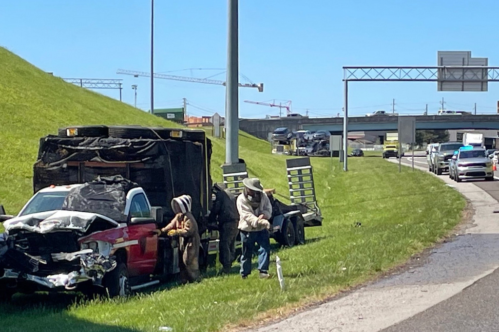 In this photo provided by the Tennessee Department of Transportation, beekeepers work to contain a swarm of bees that escaped from a crashed truck on Interstate 40 in Knoxville, Tenn., on Friday, April 17, 2026. (TDOT via AP)