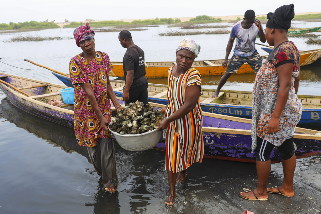 Women offload oysters from a canoe at Tsokomey, Ghana, Aug. 6, 2025. (AP Photo/Misper Apawu)