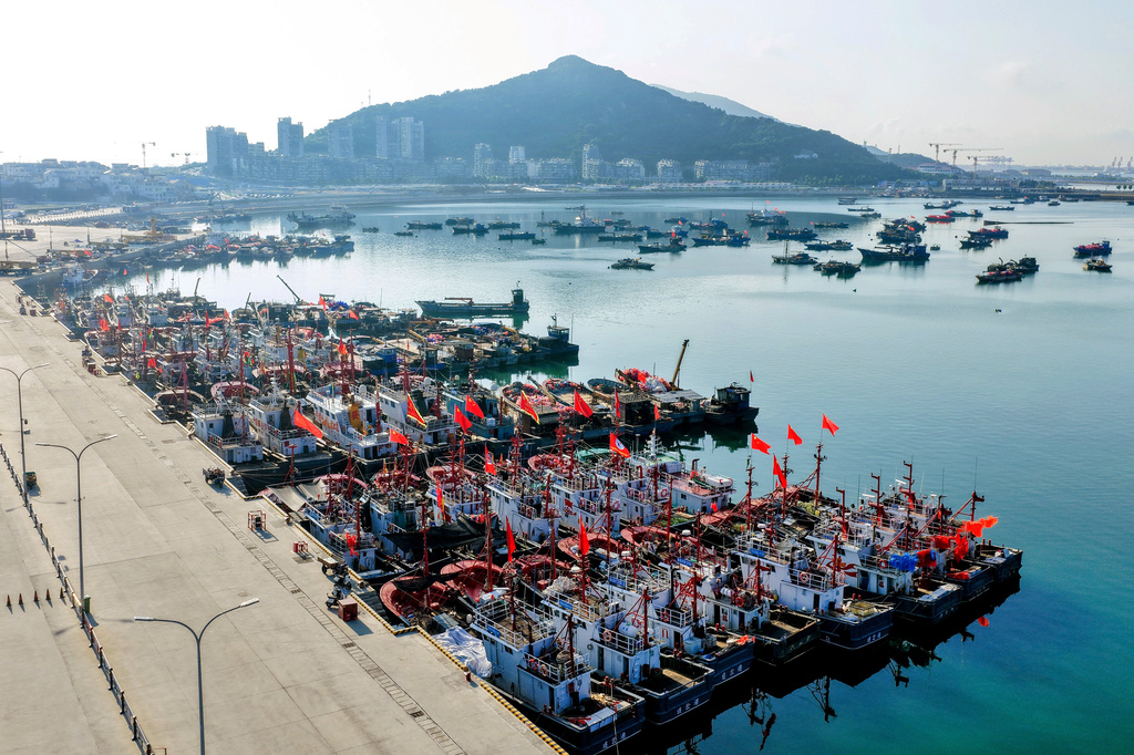 In this aerial photo released by Xinhua News Agency, fishing boats shelter at a port ahead of Typhoon Dolphin in Lianyungang, eastern China's Jiangsu Province on Aug. 7, 2026. (Wang Jianmin/Xinhua via AP)