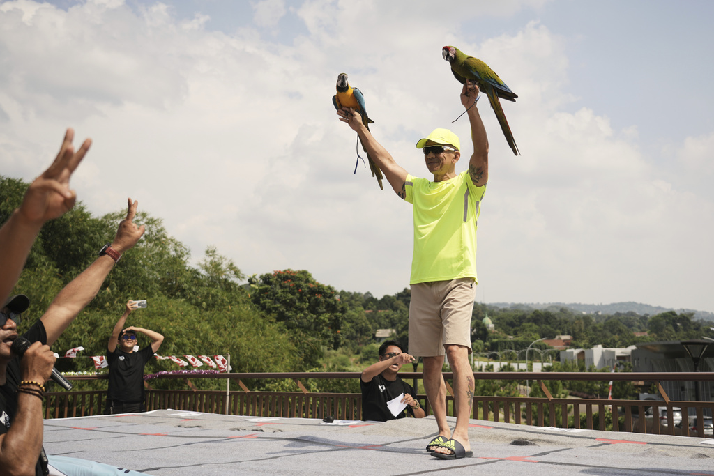 Budi Suharya celebrates after winning the first and second place for the obedience category during a macaw free fly competition in Sentul, Indonesia, Saturday, Aug. 23, 2025. (AP Photo/Tatan Syuflana)