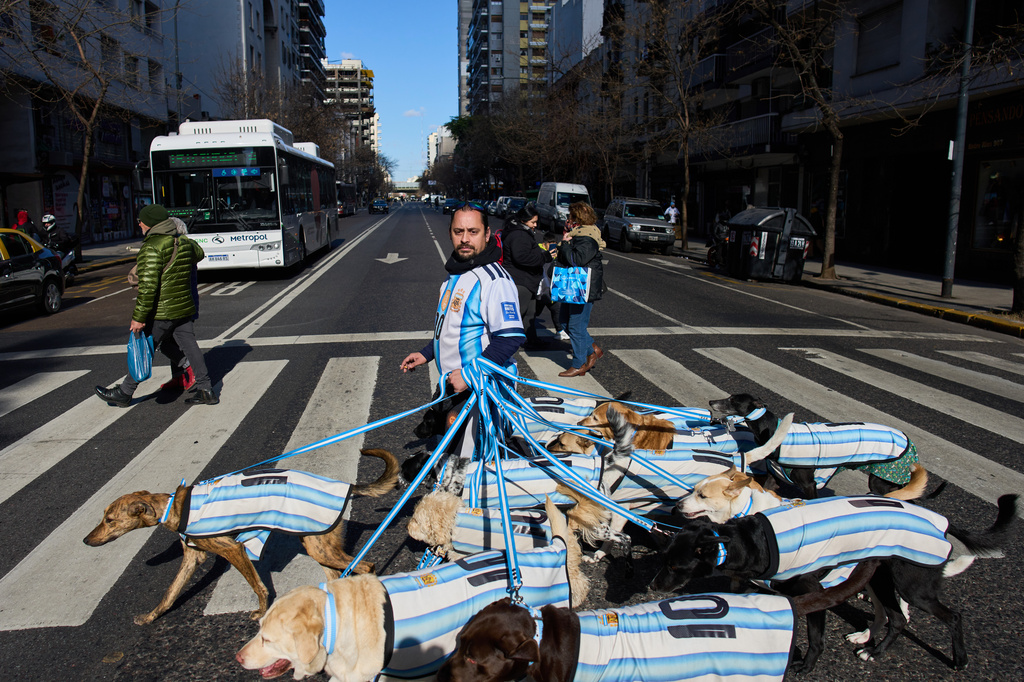 Dog walker Nahuel Meneghini walks dogs dressed in jerseys of the Argentine national soccer team in Buenos Aires, Argentina, Thursday, July 2, 2026. (AP Photo/Rodrigo Abd)