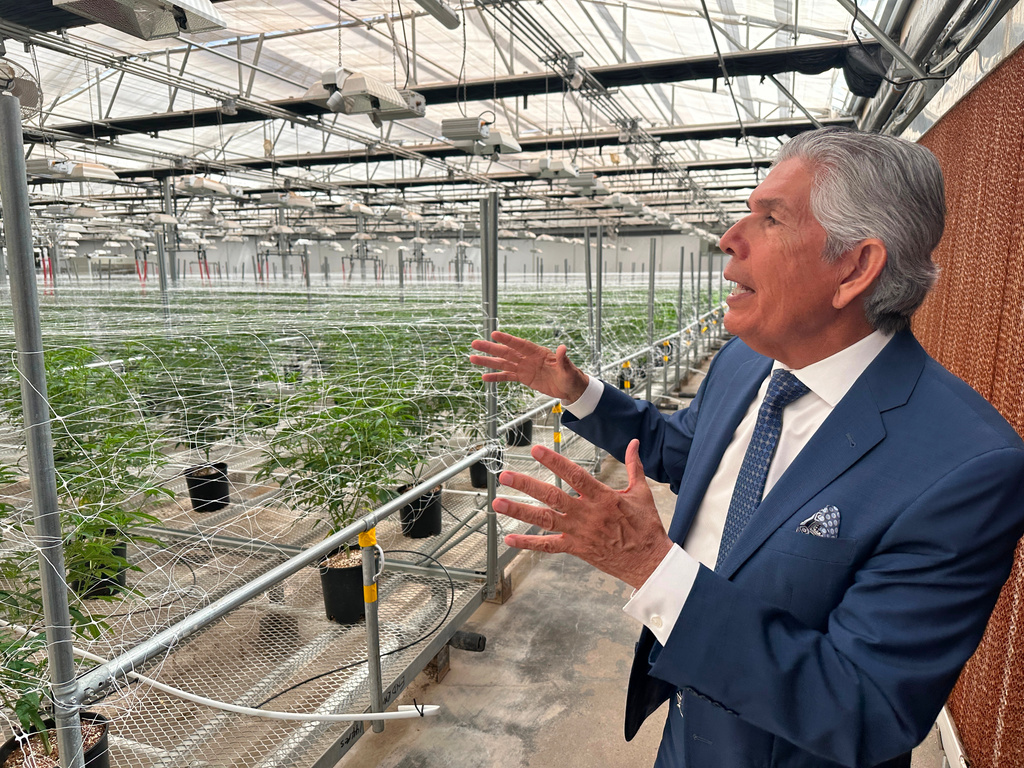 Republican candidate for governor Duke Rodriguez -- a cannabis entrepreneur and former state Cabinet secretary – discusses his approach to taxes and spending amid a surge in state government income from oil and natural gas at a cannabis greenhouse in Bernalillo, N.M., on Tuesday, April 28, 2026, ahead of a June 2 primary election. (AP Photo/Morgan Lee)
