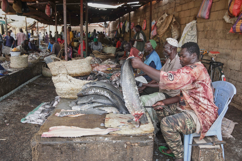 A fish vendor cleans fish at a market in Khartoum, Sudan, Tuesday, Sept. 8, 2026. (AP Photo/Marwan Ali)