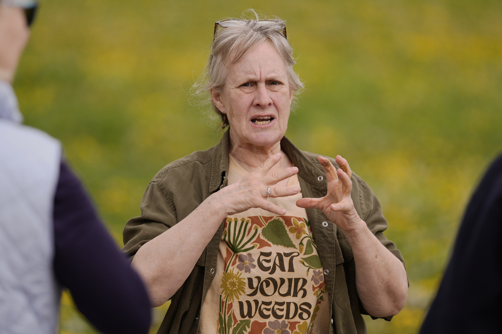 Iris Weaver gives a class on foraging, May 8, 2025, in Wenham, Mass. (AP Photo/Robert F. Bukaty)