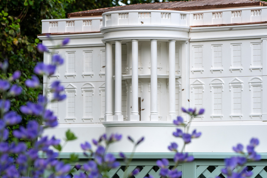 Bees fly around a beehive crafted to look like the White House on the South Lawn of the White House, Friday, April 24, 2026, in Washington. (AP Photo/Alex Brandon)