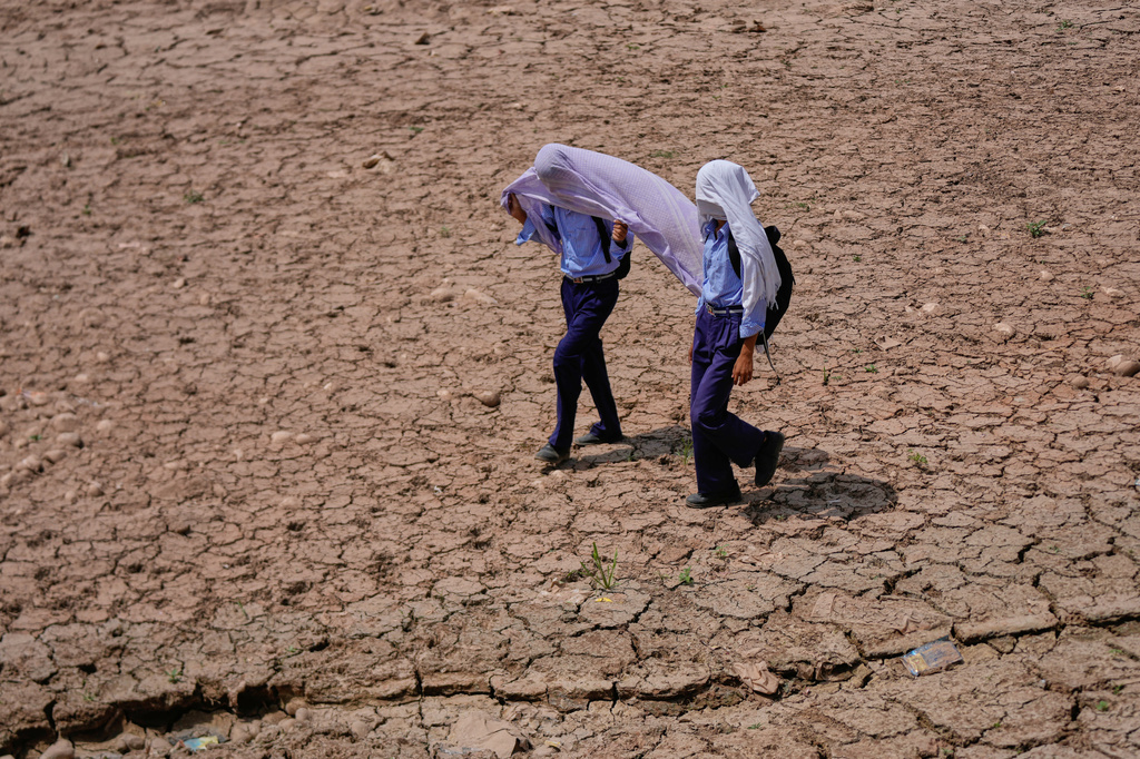 School children use cotton towels over their heads to protect themselves from the scorching afternoon heat as they walk through a parched field on the outskirts of Jammu, India, Wednesday, May 20, 2026. (AP Photo/Channi Anand)