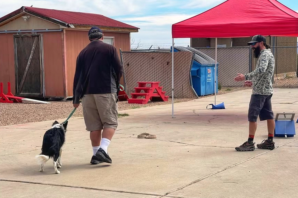 This undated photo shows trainer J.J. Belcher, right, using his western diamondback rattler Brian to teach a dog to avoid poisonous snakes in Tucson, Ariz. (J.J. Belcher via AP)