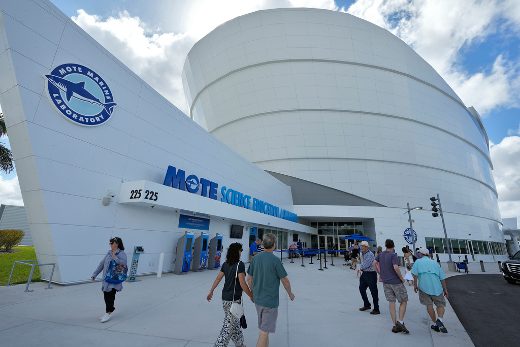 Guests arrive at the Mote Science Education Aquarium for a soft opening, Monday, Oct. 6, 2025, in Sarasota, Fla. (AP Photo/Chris O'Meara)
