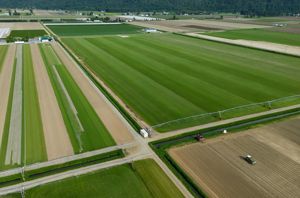 Bos Sod Farms, the company that has the contract to grow the turf being used for the FIFA World Cup matches at B.C. Place stadium in Vancouver, aerial view is seen in Abbotsford, B.C., on Saturday, May 9, 2026. (Darryl Dyck/The Canadian Press via AP)